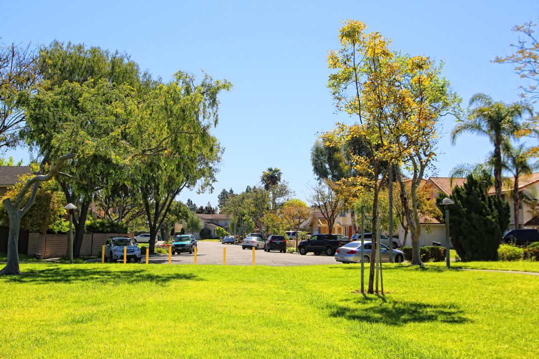 Work Image