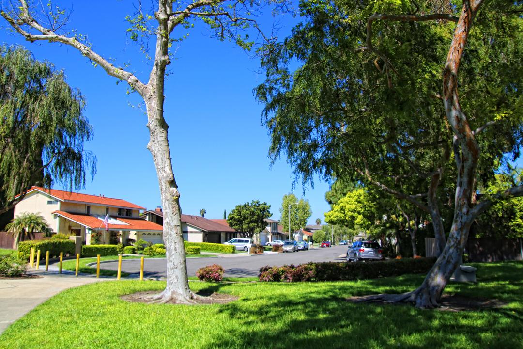 Work Image